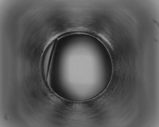 X0000091331364200708241150