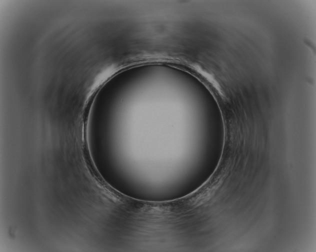 X0000091331365200708241150