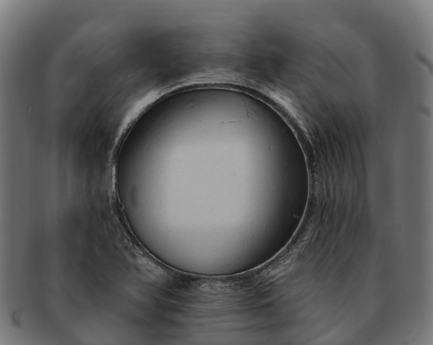 X0000091331366200708241150