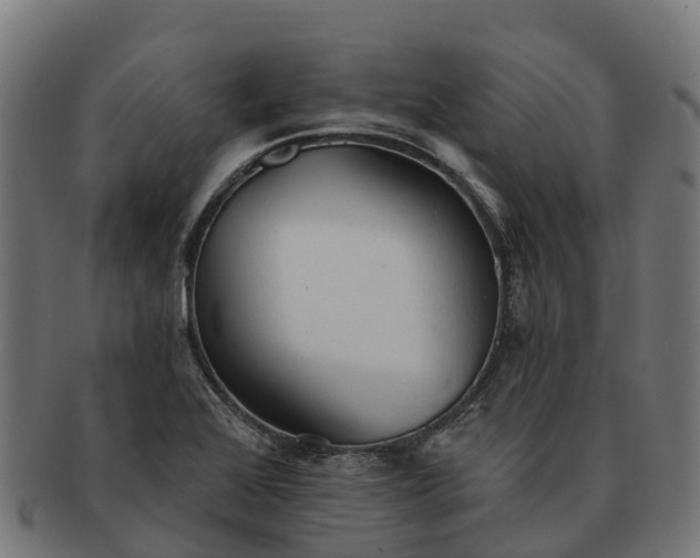 X0000091331368200708241150