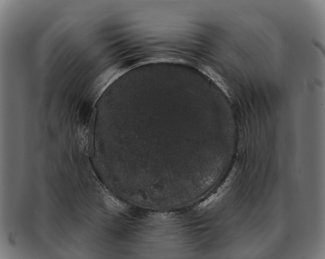 X0000091331369200708241150