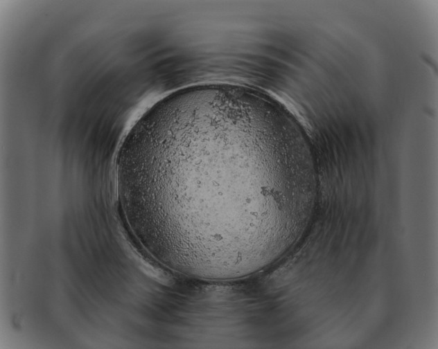 X0000091331371200708241150