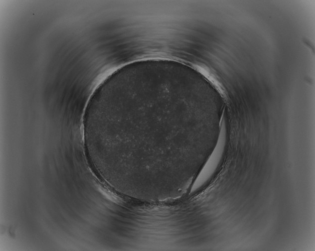 X0000091331372200708241150