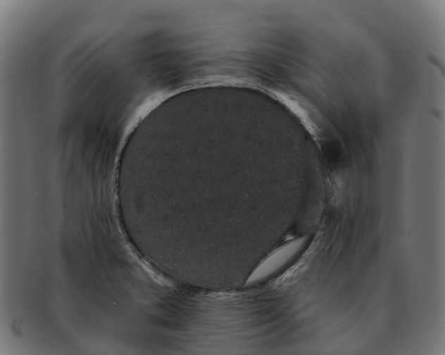 X0000091331373200708241150