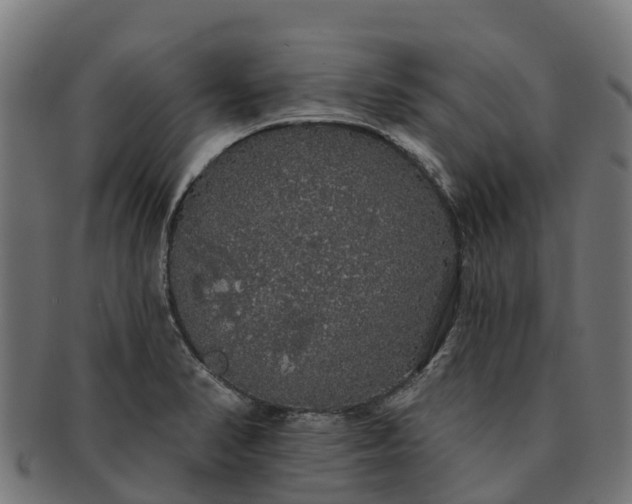 X0000091331374200708241150