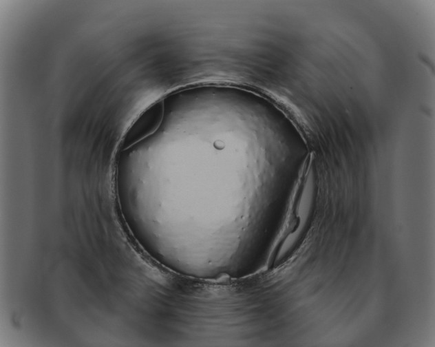 X0000091331375200708241150