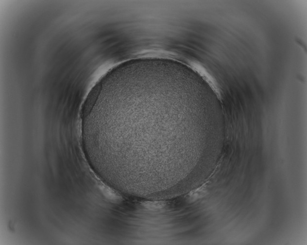 X0000091331376200708241150