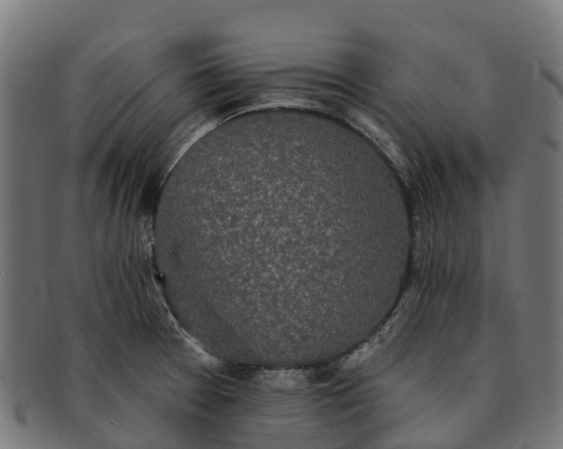 X0000091331377200708241150