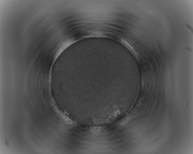 X0000091331378200708241150