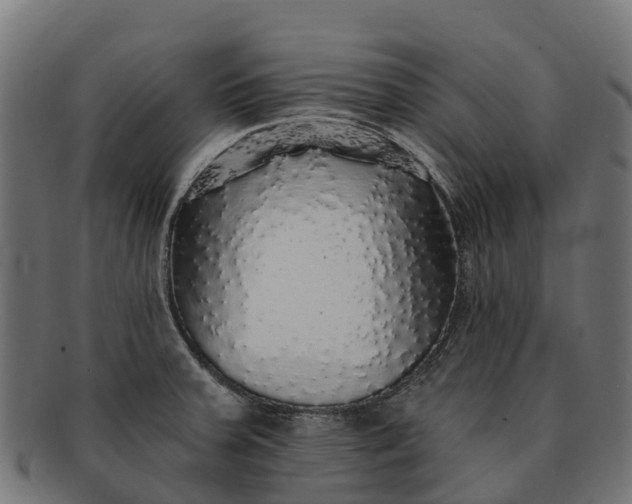 X0000091331379200708241150