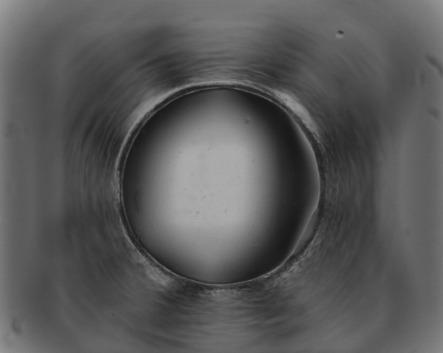 X0000091331380200708241150