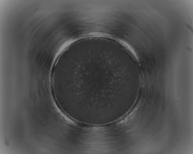 X0000091331381200708241150