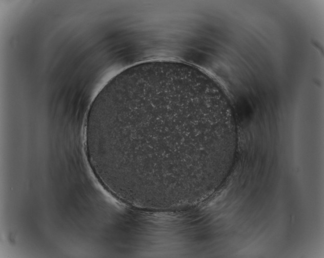 X0000091331383200708241150