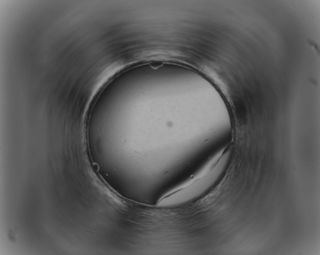 X0000091331384200708241150