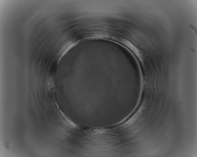 X0000091331385200708241150