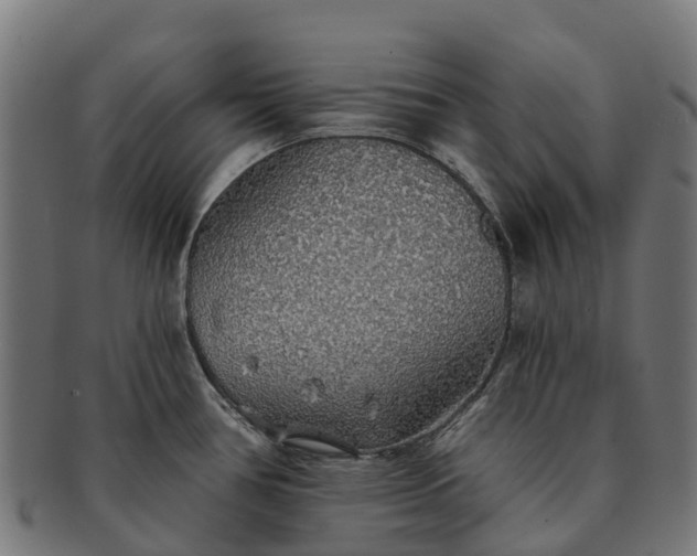 X0000091331386200708241150