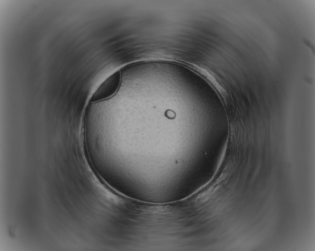 X0000091331387200708241150