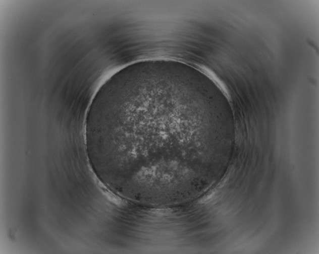 X0000091331388200708241150