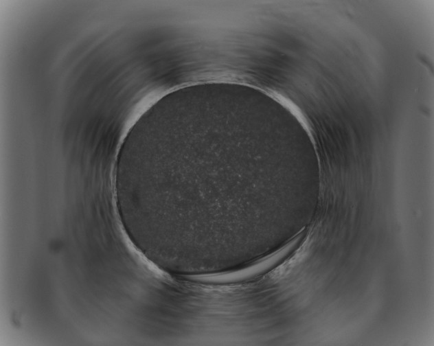 X0000091331389200708241150