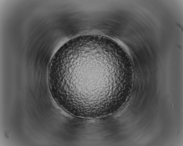 X0000091331390200708241150