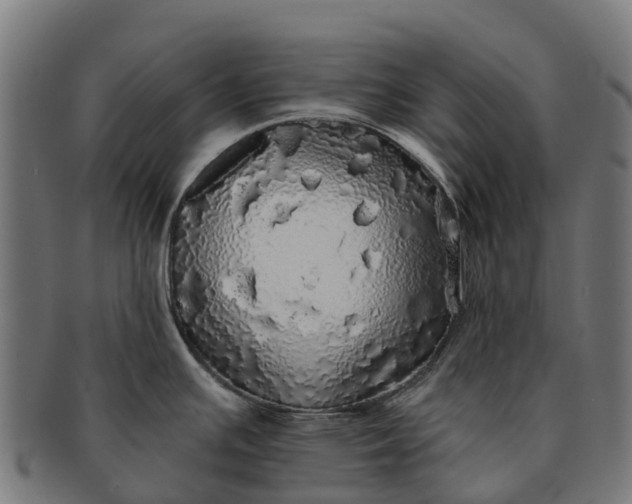 X0000091331391200708241150