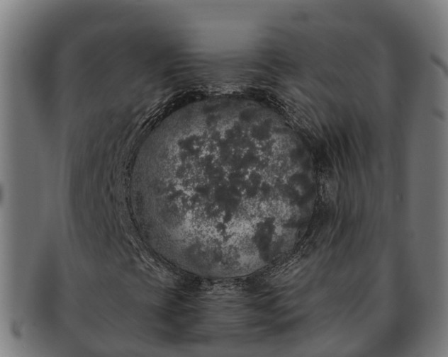 X0000091331393200708241149