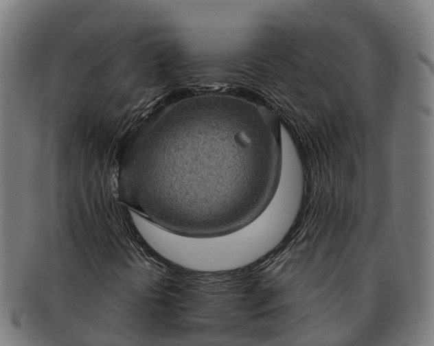 X0000091331394200708241149