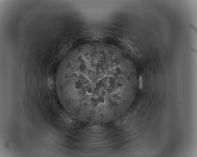 X0000091331395200708241149