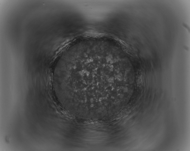 X0000091331397200708241149