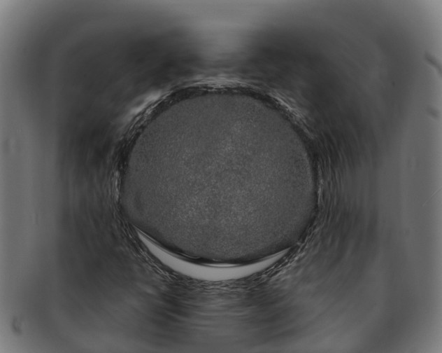 X0000091331398200708241149