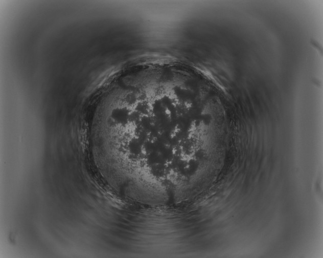 X0000091331399200708241149