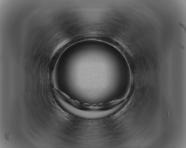 X0000091331402200708241149