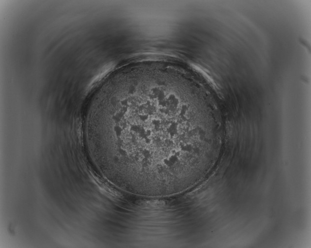 X0000091331403200708241149