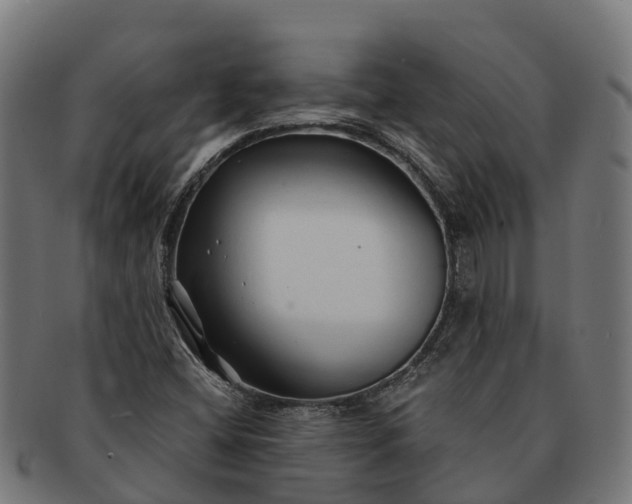 X0000091331404200708241149