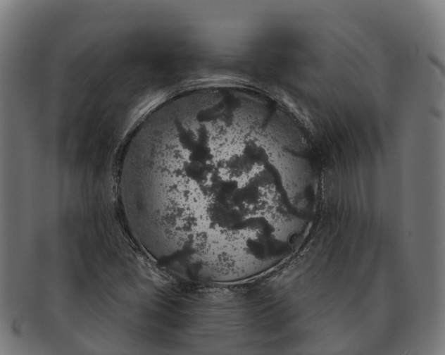 X0000091331405200708241149