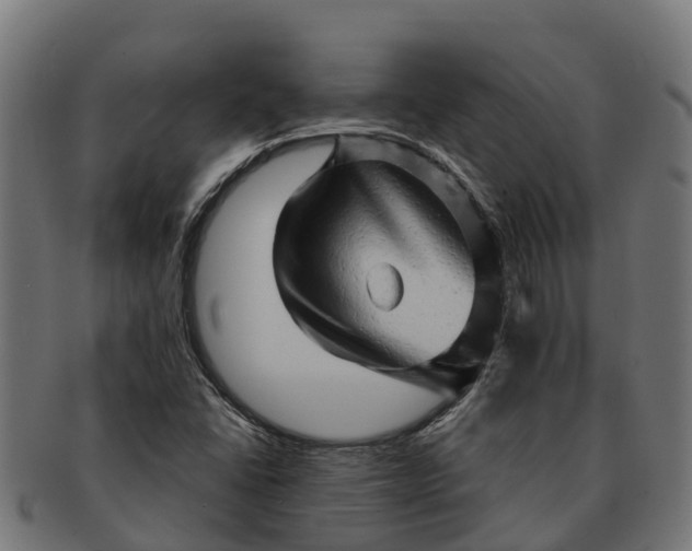 X0000091331406200708241149