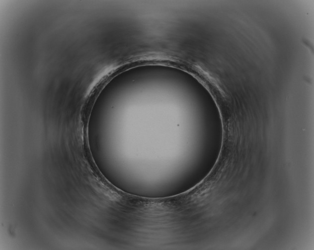 X0000091331408200708241149