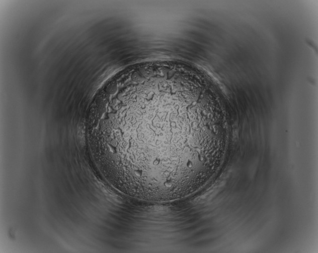 X0000091331409200708241149