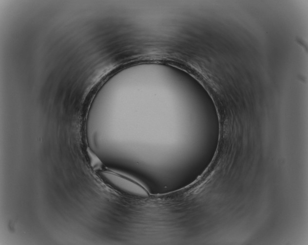 X0000091331410200708241150