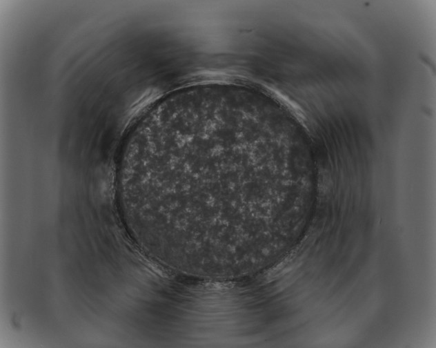 X0000091331411200708241150