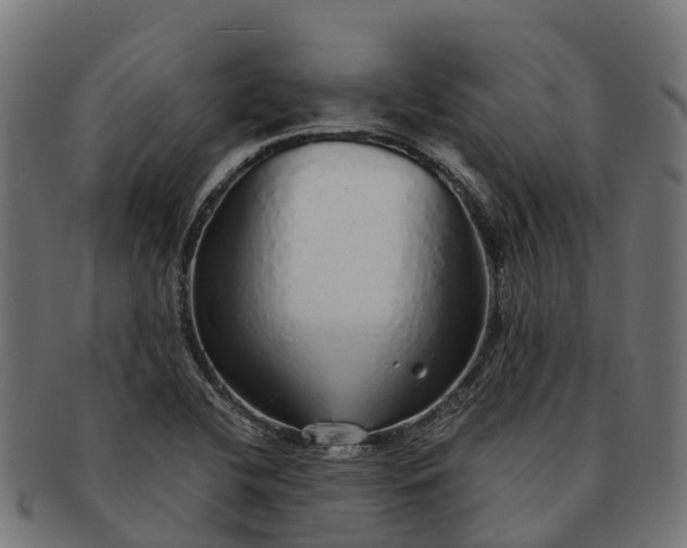 X0000091331412200708241150