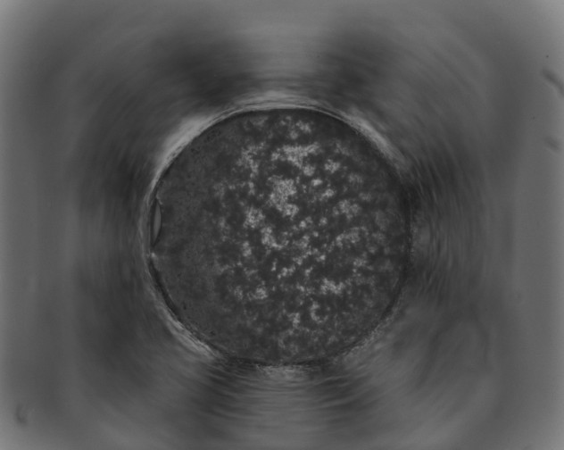 X0000091331413200708241150