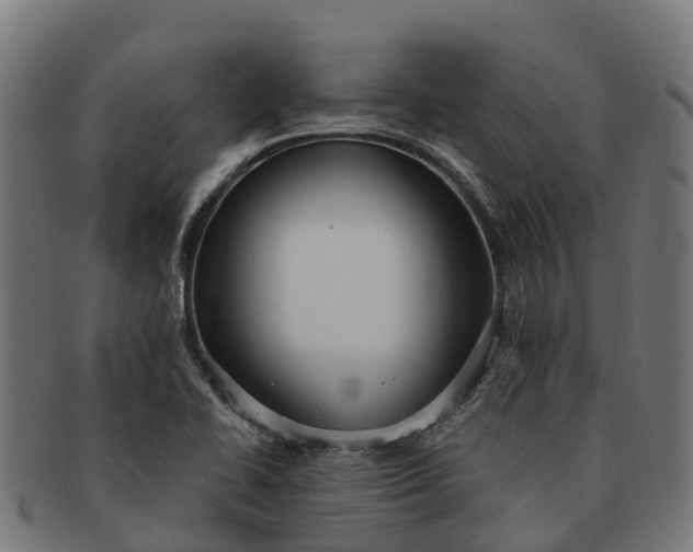 X0000091331414200708241150