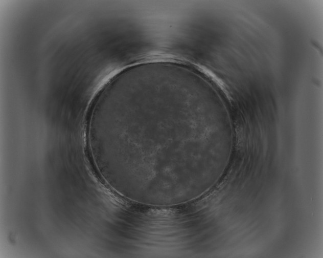 X0000091331415200708241150