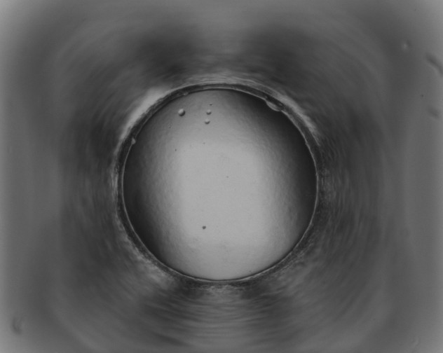 X0000091331416200708241150