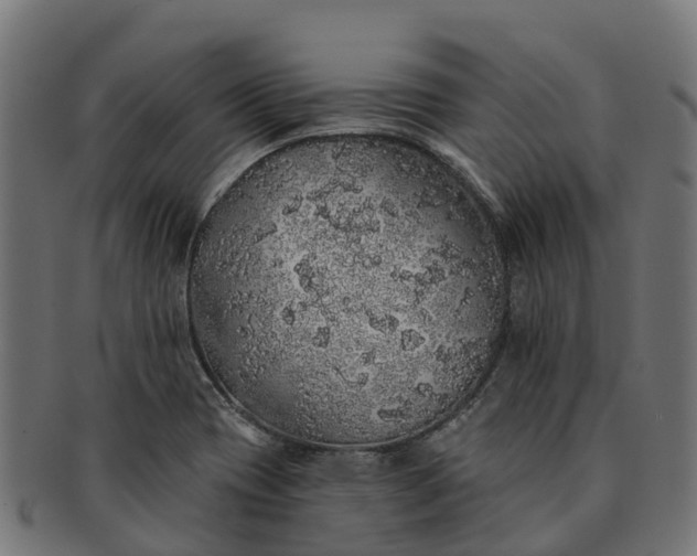 X0000091331417200708241150