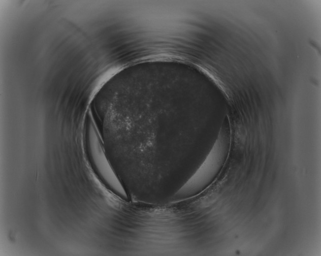 X0000091331418200708241150