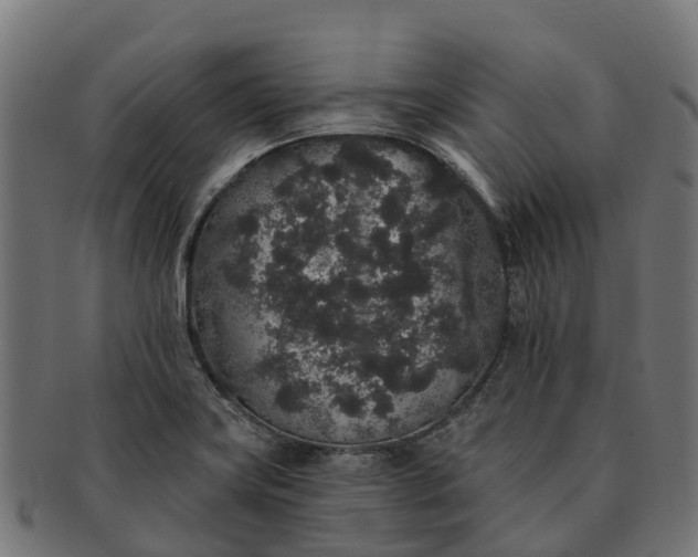 X0000091331419200708241150