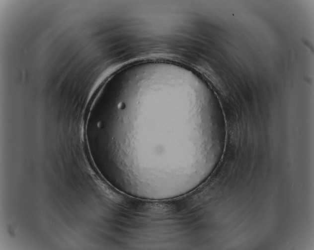 X0000091331420200708241150