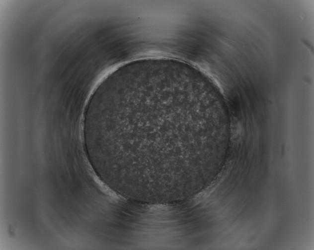 X0000091331421200708241150